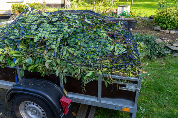 Best Commercial Junk Removal  in Galva, IL